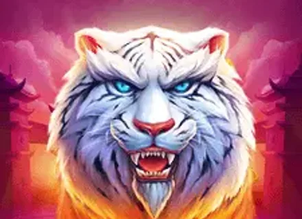Luck Of Tiger Bonus Combo on yurgazeta.com Luck Of Tiger Bonus Combo — Favbet